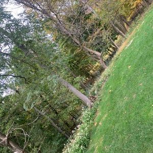 Meet your Posher, Mohammed